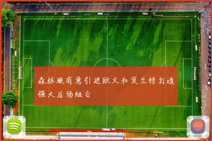 森林狼有意引进欧文和莫兰特打造强大后场组合