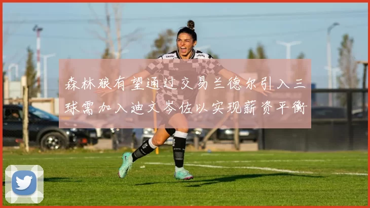 森林狼有望通过交易兰德尔引入三球需加入迪文岑佐以实现薪资平衡